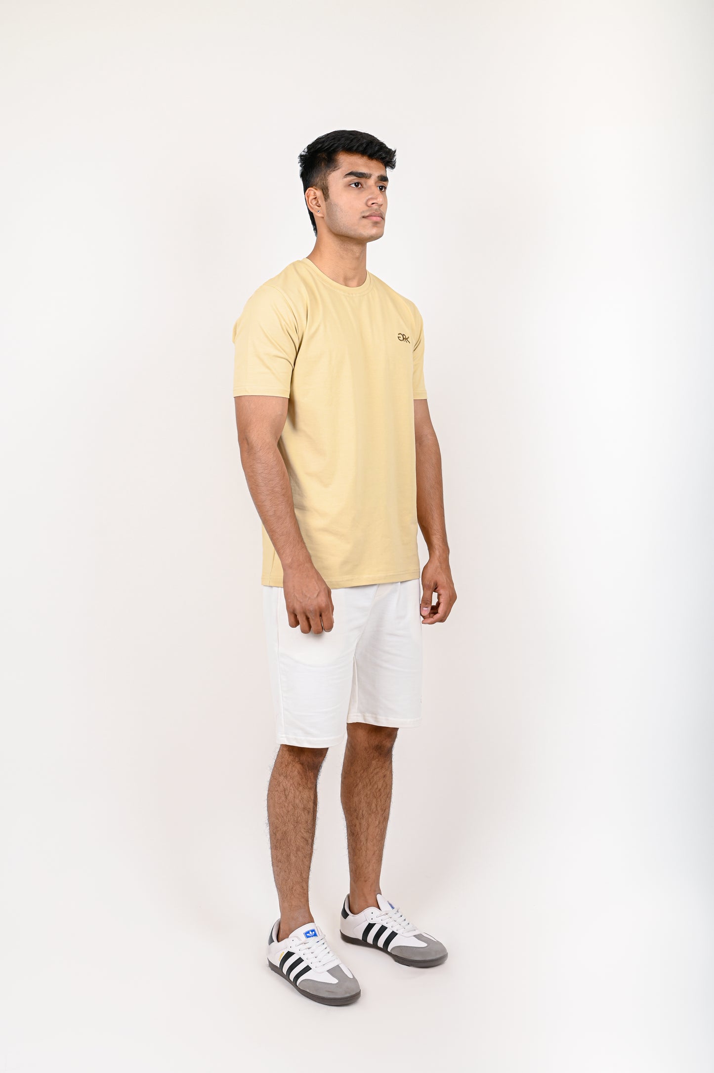 Beige Regular T-shirt